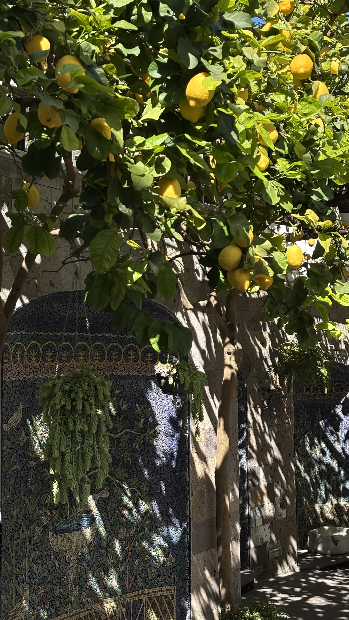 Italy, photo 7