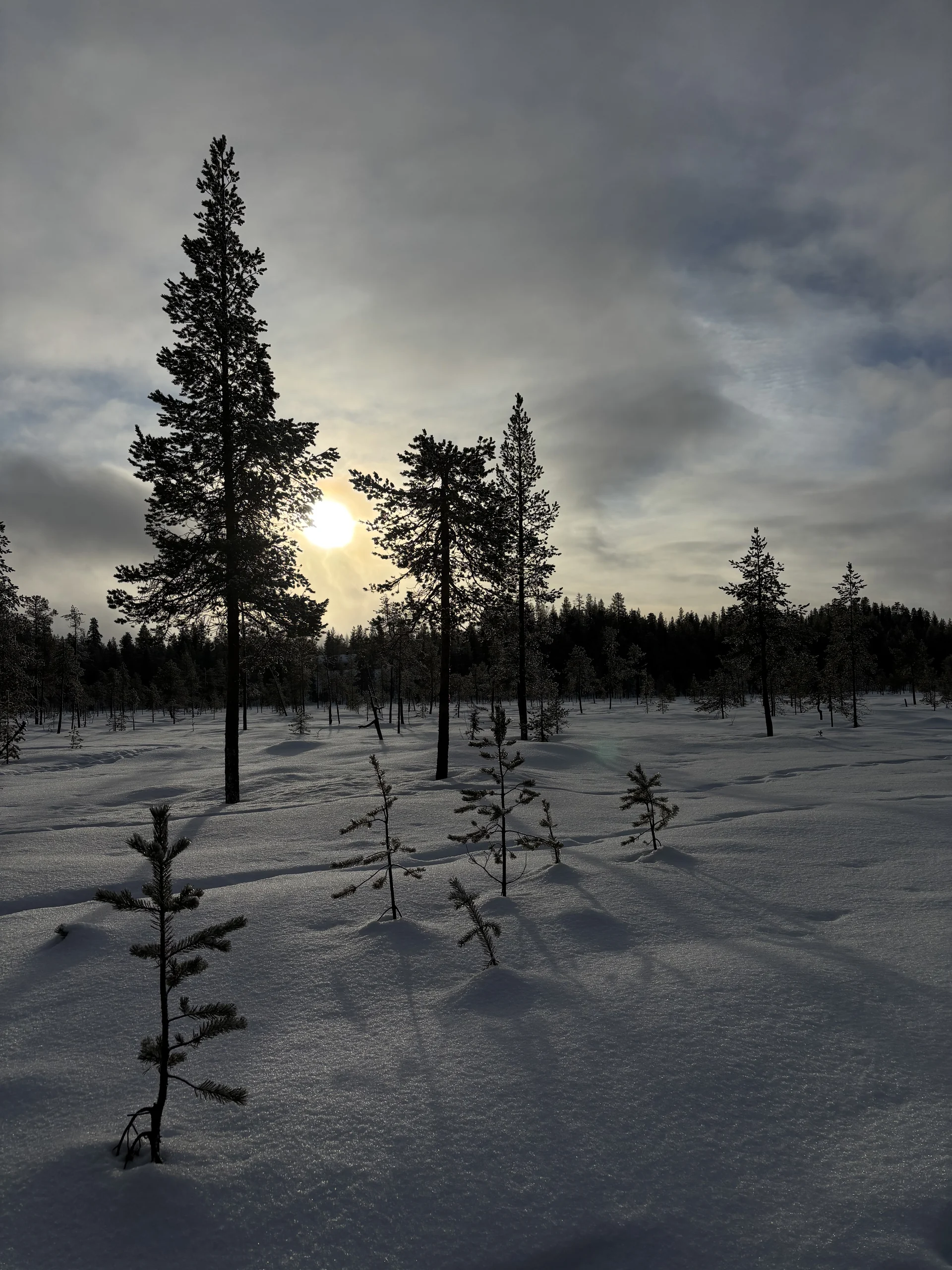 Lapland, photo 2
