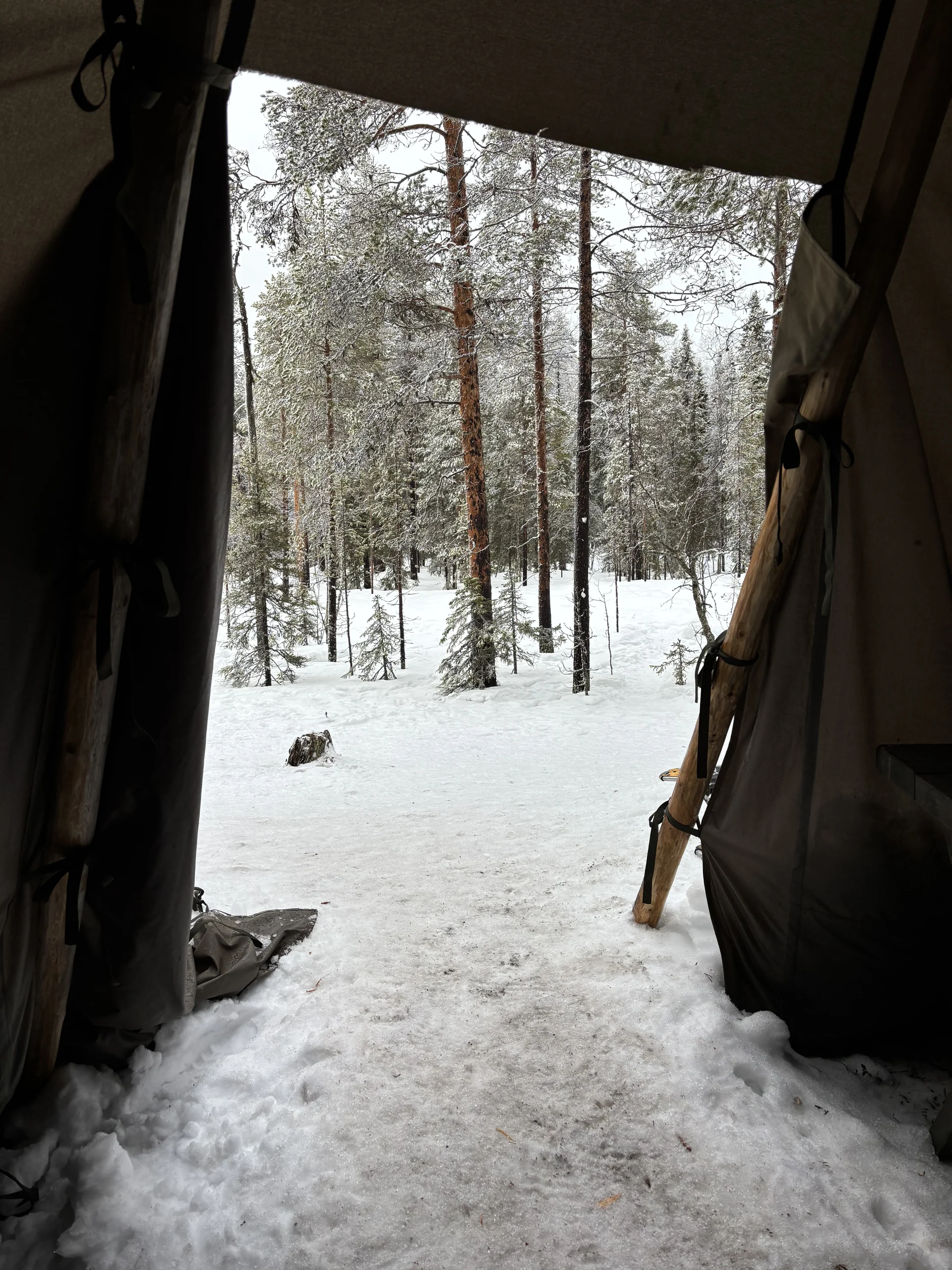 Lapland, photo 5