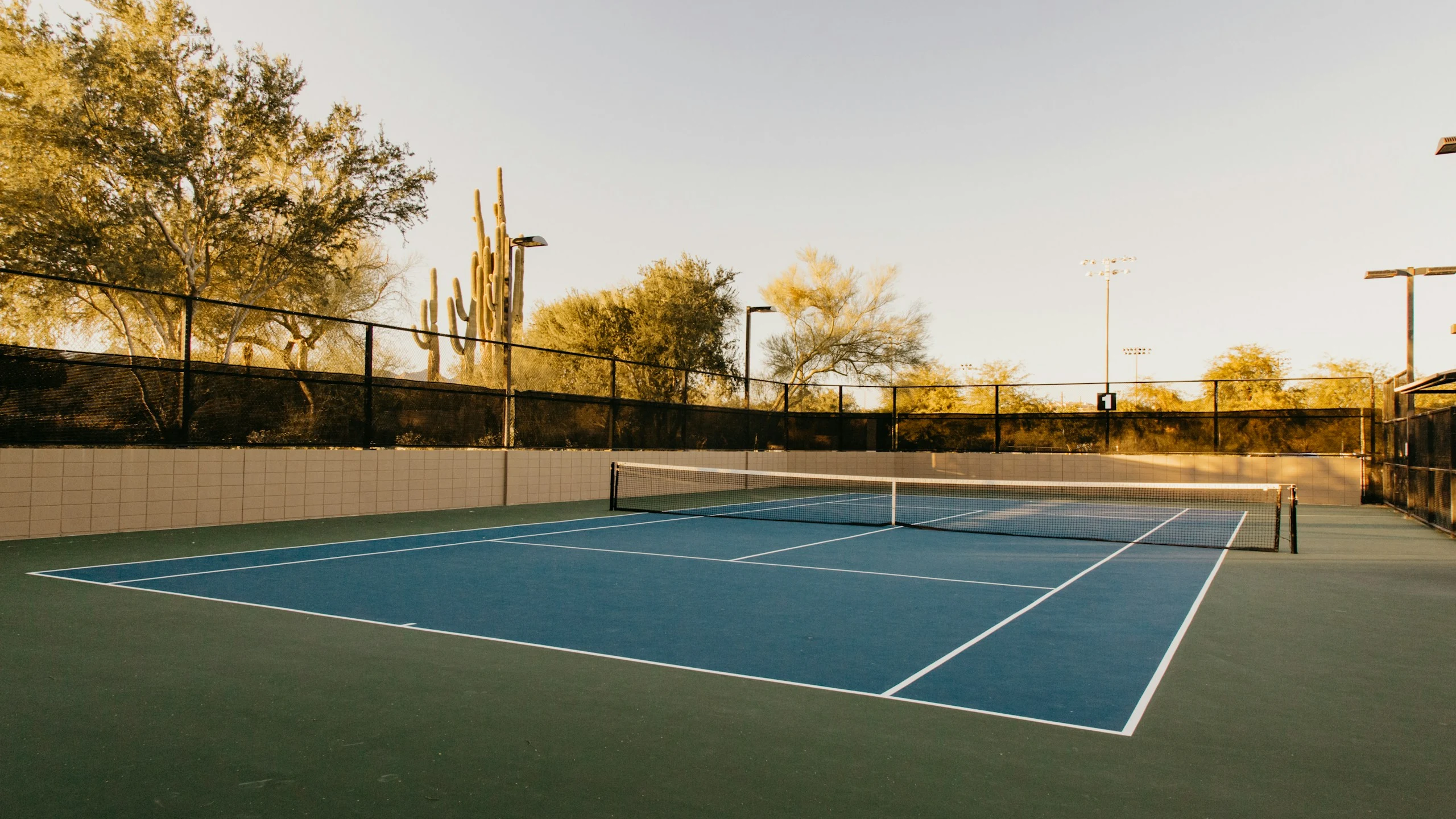Tennis photo 6